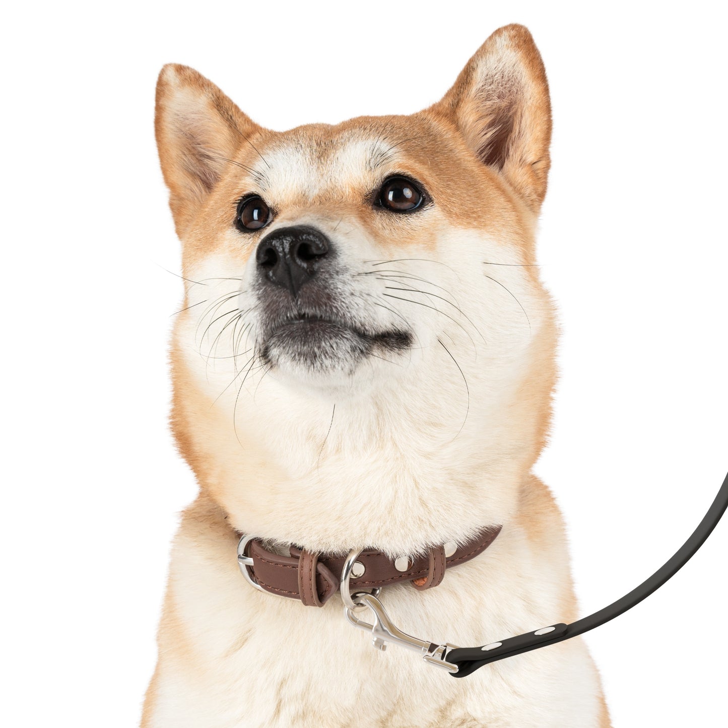 Pink & Cream Western Desert Custom Pet Leash - Personalized, Durable PVC & TPU Handle, Waterproof