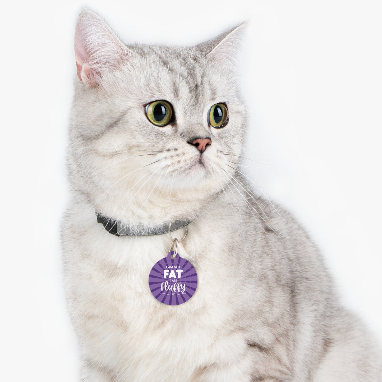 I Am Not Fat I Am Fluffy Purple Metal Pet Name Tag - Custom, Personalized, Durable