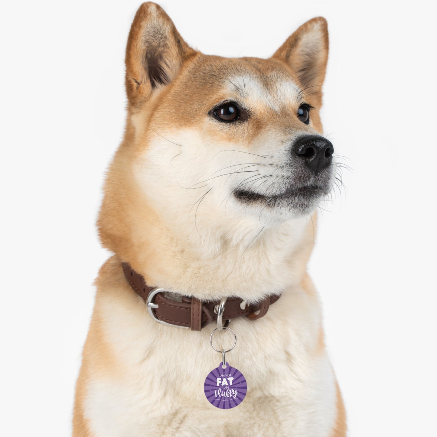 I Am Not Fat I Am Fluffy Purple Metal Pet Name Tag - Custom, Personalized, Durable